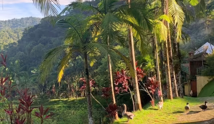 Excelente hotel fazenda para investimento