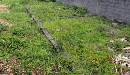 Terreno para venda na praia de Itanhaém
