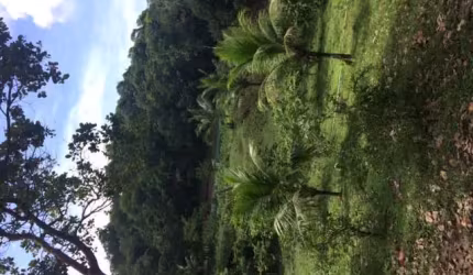 Ótima Granja 3hec, Não Tem Casa, Poço Artesiano, Riacho Perene, Guabiraba, Aceito Carro