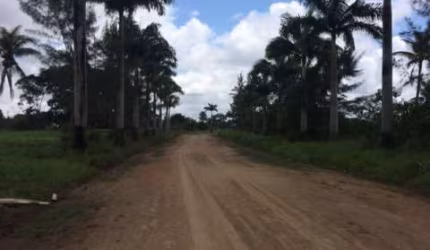 Ótima Fazenda-Granja-Sítio 52 Hectares para Empreendedorismo em Monjope, Igarassu