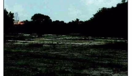 Oportunidade Única em IGARASSU - PE | Tipo: Terreno | Negociação: Venda Online  | Situação: Imóvel