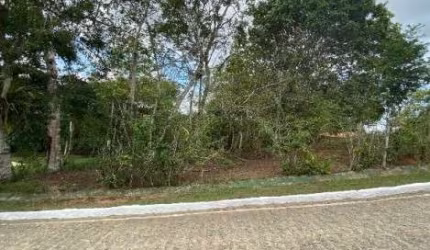Oportunidade Única em ALIANCA - PE | Tipo: Terreno | Negociação: Venda Online  | Situação: Imóvel
