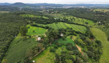 FAZENDA A VENDA COM 93,81 HECTARES, TODA FORMADA PROXIMO A DIVINOPOLIS MG