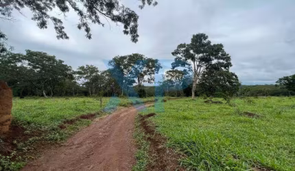FAZENDINHA RURAL A VENDA NO MUNICÍPIO DE SÃO SEBAS TIÃO DO OESTE-MG