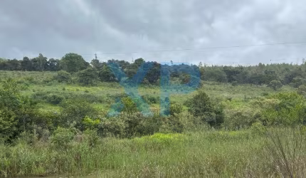 TERRENO RURAL A VENDA NO MUNICÍPIO DE SÃO SEBASTIÃO DO OESTE-MG