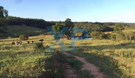 FAZENDINHA A VENDA NO MUNICÍPIO DE SÃO SEBASTIÃO DO OESTE-MG