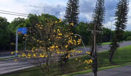 Sala comercial à venda na Avenida Padre Cacique, 122, Praia de Belas, Porto Alegre por R$ 592.116