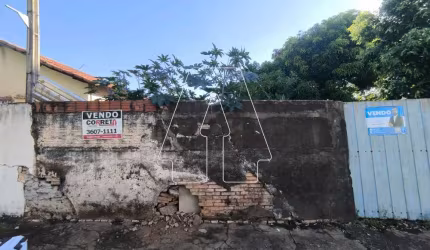 Terreno com testada de 13m de frente, murado, próximo a emissora TVI