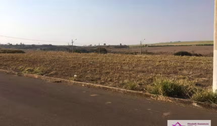 Terreno à venda, 250 m² por R$ 115.000,00 - Parque Alto das Palmeiras - Leme/SP