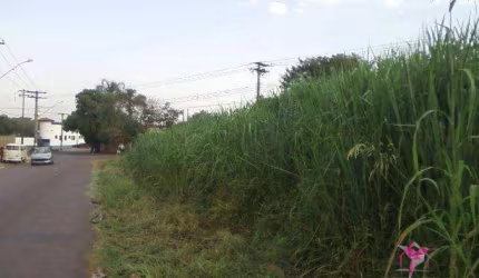 Terreno à venda, 500 m² por R$ 400.000 - Barra Funda - Leme/SP