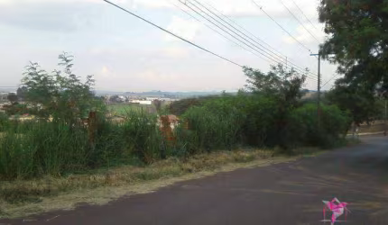 Terreno à venda, 132 m² por R$ 100.000 - Barra Funda - Leme/SP
