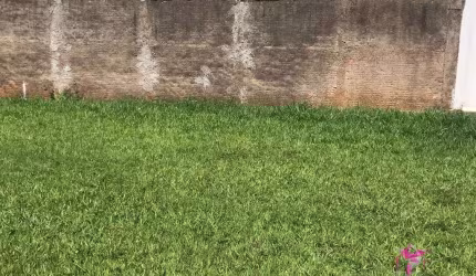 Terreno à venda, 133 m² por R$ 115.000 - Cidade Jardim - Leme/SP