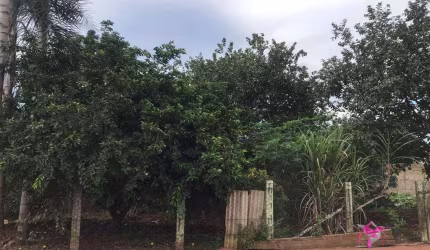 Terreno à venda, 400 m² por R$ 140.000,00 - Taquari - Leme/SP