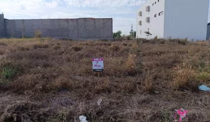 Terreno à venda, 490 m² por R$ 270.000,00 - Parque Alto das Palmeiras - Leme/SP
