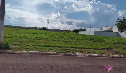 Terreno à venda, 250 m² por R$ 169.990,00 - Parque Residencial Santa Helena - Leme/SP