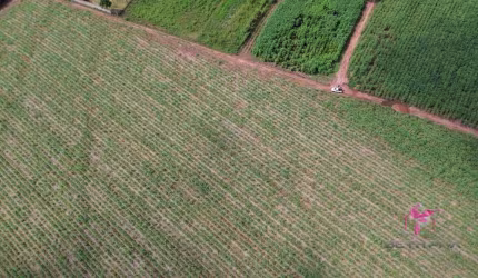 Terreno à venda, 5002 m² por R$ 300.000,00 - Área Rural - Pirassununga/SP