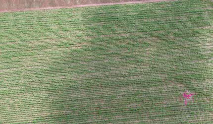 Terreno à venda, 5004 m² por R$ 300.000,00 - Área Rural - Pirassununga/SP