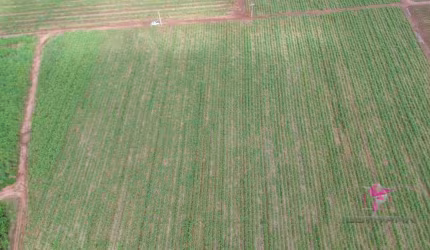 Terreno à venda, 18167 m² por R$ 1.200.000,00 - Área Rural - Pirassununga/SP
