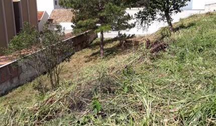 Terreno em local alto no Tingui - ótima localização - estuda permuta !