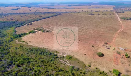 Fazenda com 974 Hectares Dupla Aptidão em Serranópolis GO - Avalia Permuta!