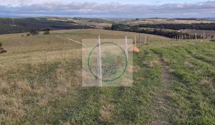 Fazenda com 75 Alqueires em Alambari - SP