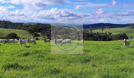 Excelente fazenda na pecuária com 53 Alqueires em Itapetininga - SP