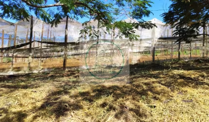 Sítio de 30 Alqueires com Granja em Itapetininga - SP