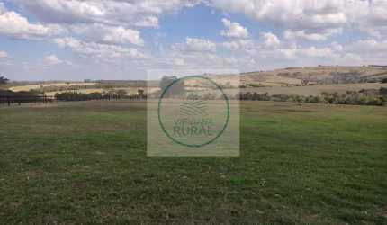 Fazenda de 87 Alqueires com Haras em Itapetininga - SP
