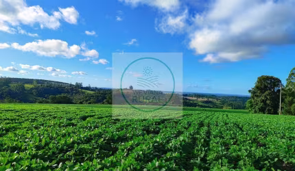 Excelente Sitio de 8 Alqueires na região de Itapetininga- SP