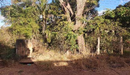 Oportunidade Única em SANTO ANTONIO DO DESCOBERTO - GO | Tipo: Terreno | Negociação: Venda Direta Online  | Situação: Imóvel
