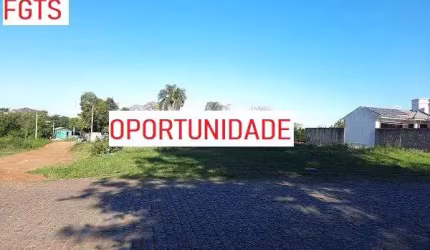 GALINHA MORTA , BAIRRO Soares , 50% OFF