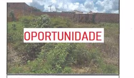 GALINHA MORTA , BAIRRO , 50% OFF
