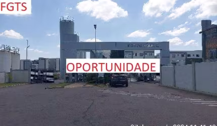 Oportunidade, 50% off, CECILIA