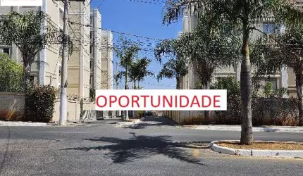 Oportunidade, 50% off, PALMITAL