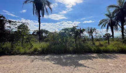 Oportunidade Única em BRUMADINHO - MG | Tipo: Terreno | Negociação: Leilão  | Situação: Imóvel