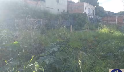 Terreno Lote em Veneza, Ribeirão das Neves/MG