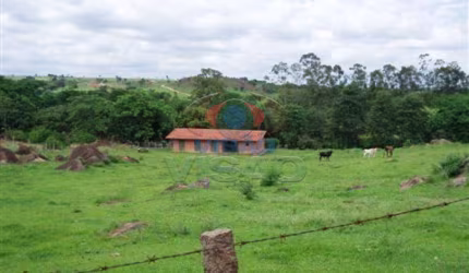 Sítio à venda, 6 quartos, 3 suítes, 6 vagas, Tombadouro - Indaiatuba/SP