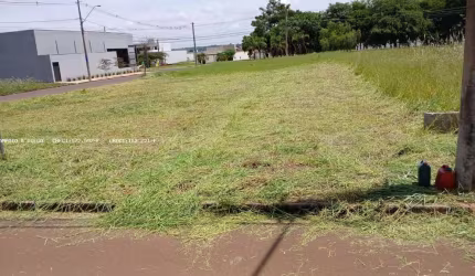Terreno para Venda em Jaboticabal, Jardim Monterrey