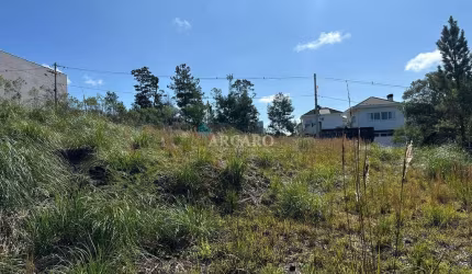 Terreno à venda na Rua Julia De Carli Paglioli, São Luiz, Caxias do Sul, 564 m2 por R$ 225.000