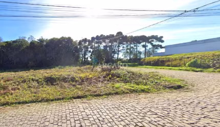 Terreno à venda na Rua Osvaldo Sacchet, 960, Nossa Senhora das Graças, Caxias do Sul, 532 m2 por R$ 350.000