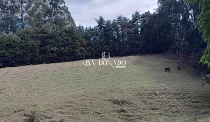 TERRENO EM CAMANDUCAIA MG 6.000MTS R$ 395MIL AGUA MINA