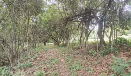 Chácara / sítio à venda na Área Rural de Conselheiro Lafaiete, Conselheiro Lafaiete , 100 m2 por R$ 460.000