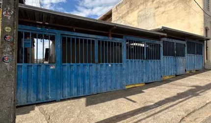 Lote com 4 casas