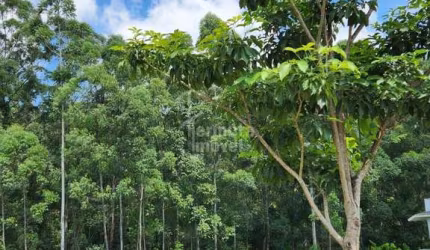 Terreno em Tamboré, Santana de Parnaíba/SP