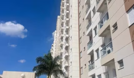 Apartamento (venda) - Vila Helvétia - Indaiatuba/SP