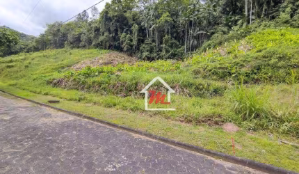 Terreno à venda, 5600 m² por R$ 869.000,00 - Velha - Blumenau/SC