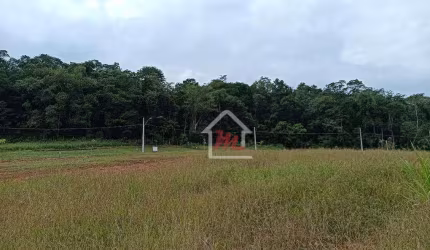 Terreno à venda, 300 m² por R$ 180.000,00 - Itoupava Central - Blumenau/SC