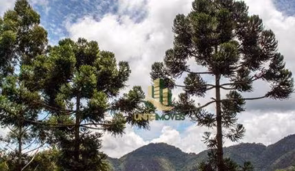 Sítio com 40.000 m²  - Gonçalves - Minas  Gerais