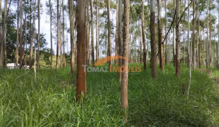 Terreno à venda na Figueira Grande, 1000, Zona Rural, Imaruí, 26780 m2 por R$ 470.000