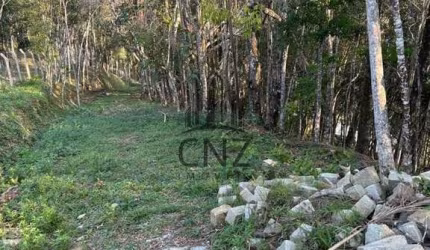 Terreno à venda em Brusque-SC, bairro Primeiro de Maio, com 12.292,00 m² de área disponível!